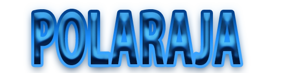 POLARAJA Logo